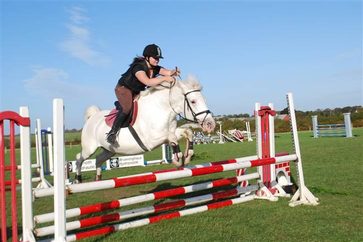 Anden særlig race Bonnie Best<3 | SOLGT - Flyvende pony ? :D .. kom ikke og sige jeg iik giver efter ? xD {fotograf: mia} billede 2