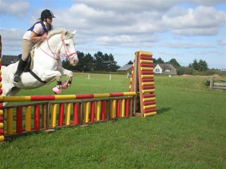 Anden særlig race Bonnie Best<3 | SOLGT - Bonnie&mig til vores sidste springundervisning d. 29/9 :´/ {fotograf: AMANADA :D} billede 3