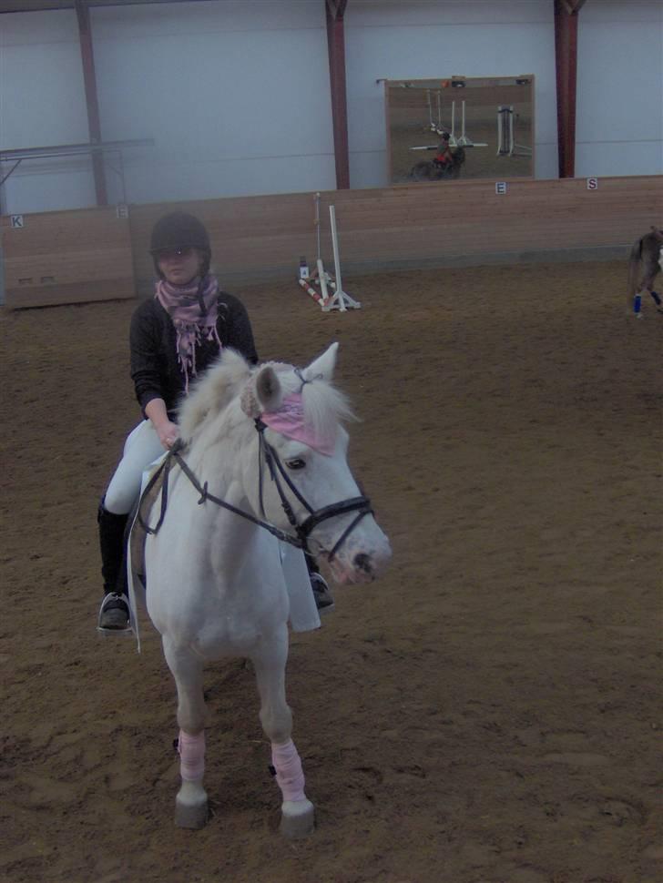 Anden særlig race Bonnie Best<3 | SOLGT - kostumespringning som Jay , 08 :D  {fotograf: pap} billede 4