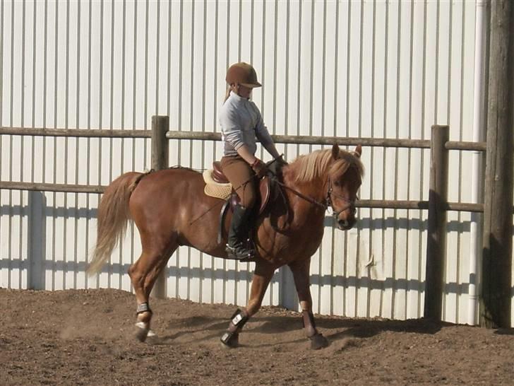 Anden særlig race komet  billede 20