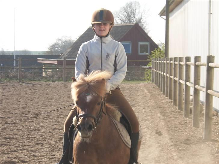 Shetlænder jeppe billede 14