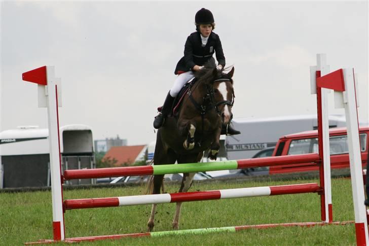 Hollandsk Sportspony Ainoa van uniken - solgt billede 8