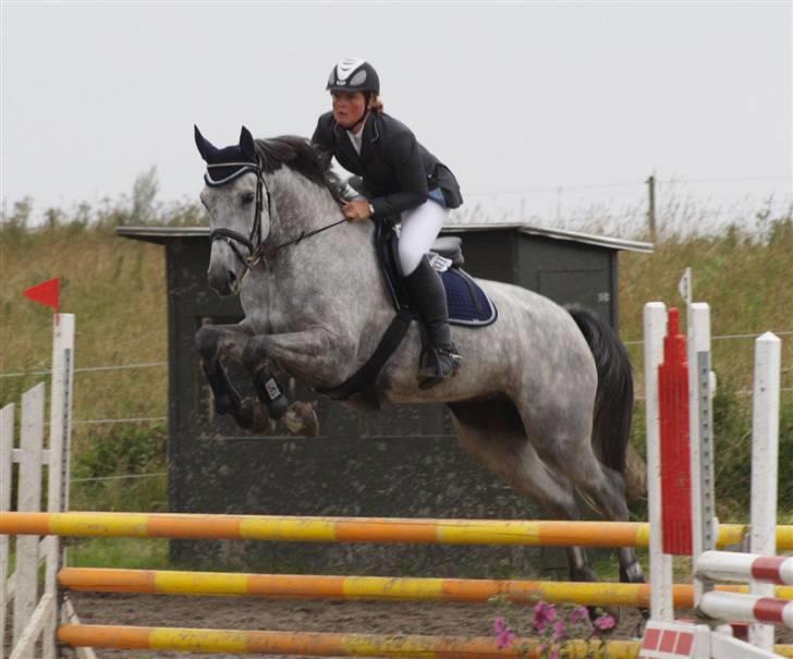 Holstener Coronadi II M - SYK 12/8-07 LC billede 20