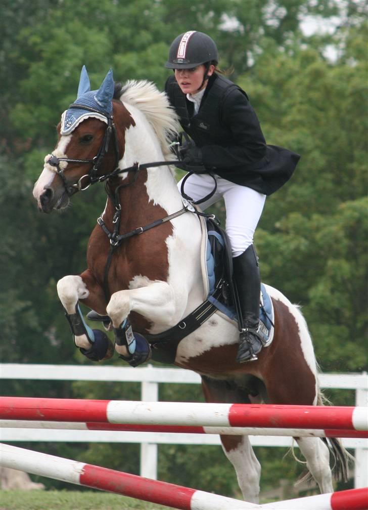 Pinto Amigo  - ELSKER DEN PONY billede 17