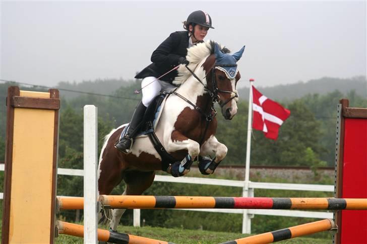 Pinto Amigo  - OUTZEN <3 billede 18