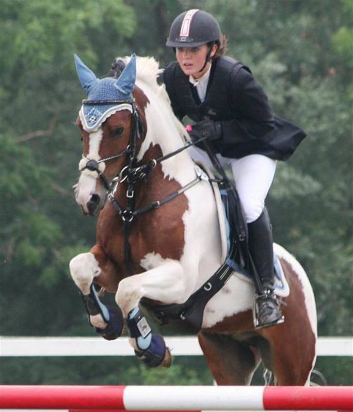 Pinto Amigo  - taget af outzen <3 la fejlfri :) billede 20