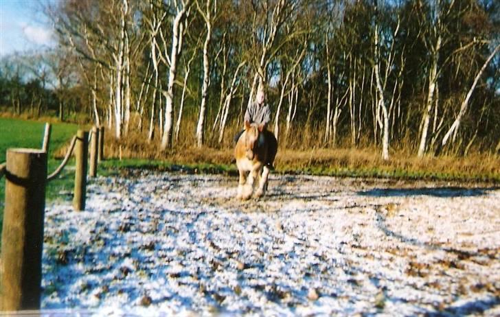 Jyde thea - SOLGT billede 8