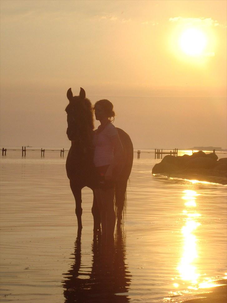 Anden særlig race BELLA <3 - Ved stranden den 2.juli 2010<3 Foto: Anders Damgaard Jensen billede 19