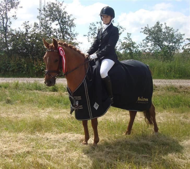 Anden særlig race BELLA <3 - Regionsmester 2009 for hold i Sevel! Foto: Mette Andersen  billede 20