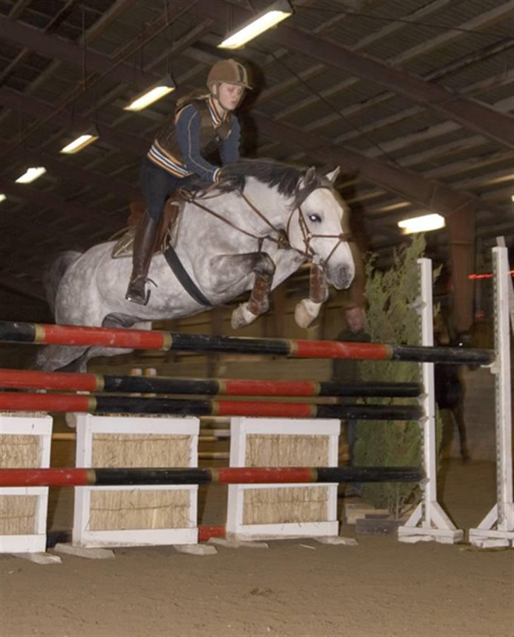 Tysk Sportspony R.I.P. Michigan - Missen min dejlige spring pony. billede 1