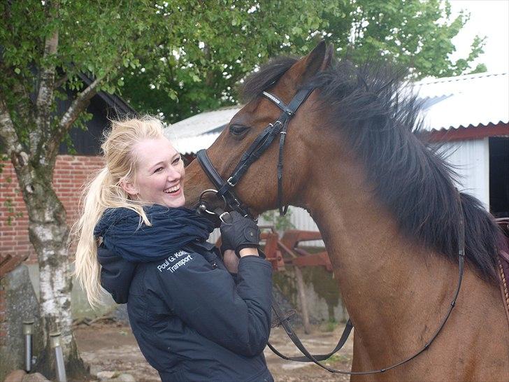 Tysk Sportspony Colorado - Mon du har nogen anelse om hvor glad du gøre mig, din skøre skid? d. 15 maj 2011. billede 1