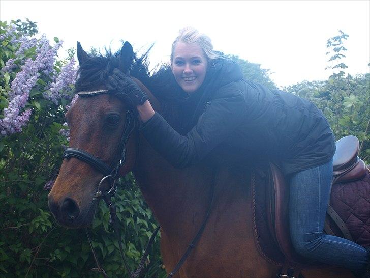 Tysk Sportspony Colorado - Uden dig, er jeg kun skyggen af mig selv. Du er det jeg savner allermest i min hverdag!! D. 15 maj 2011.  billede 4