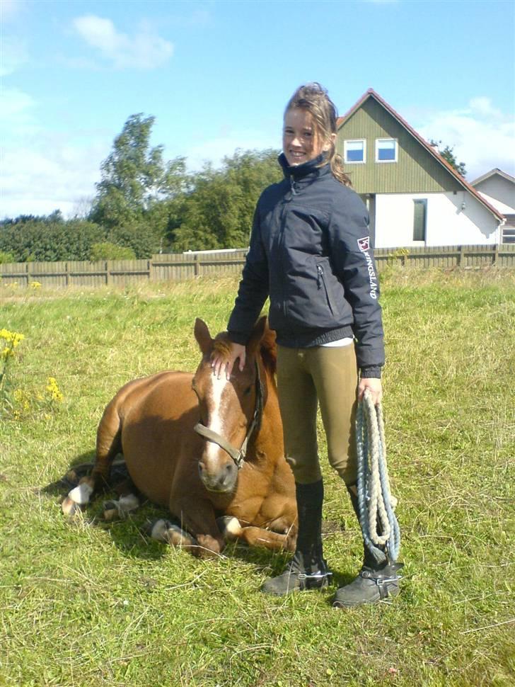 Anden særlig race // Holmens Molly -[SOLGT] billede 19