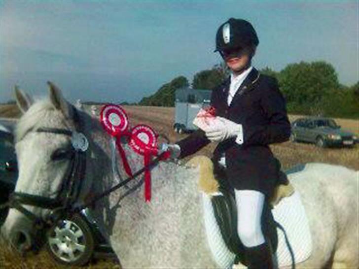 Anden særlig race Holmgaards Sir Toby - Kasper og Toby har lige vundet begge deres klasser i Vilhelmsminde i Sep. 2006 billede 1