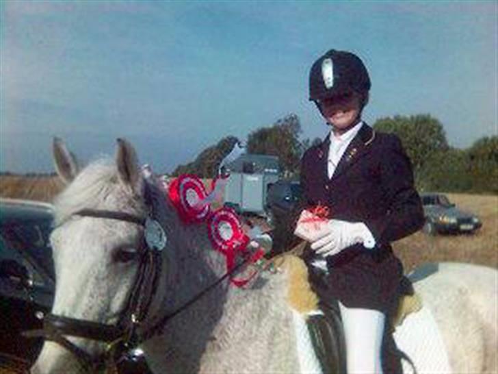 Anden særlig race Holmgaards Sir Toby - Og igen. :) Se hvor glade de er. :)  billede 2