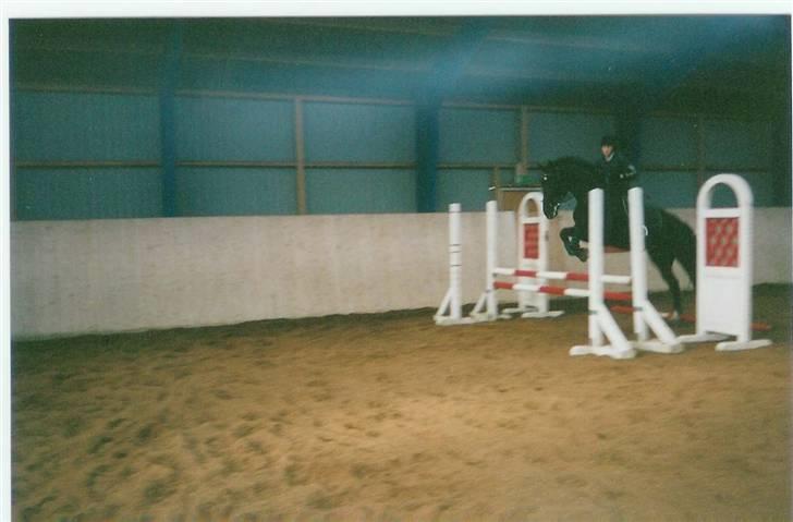 Oldenborg Diva Agerbo - mig og diva ude og springe billede 2