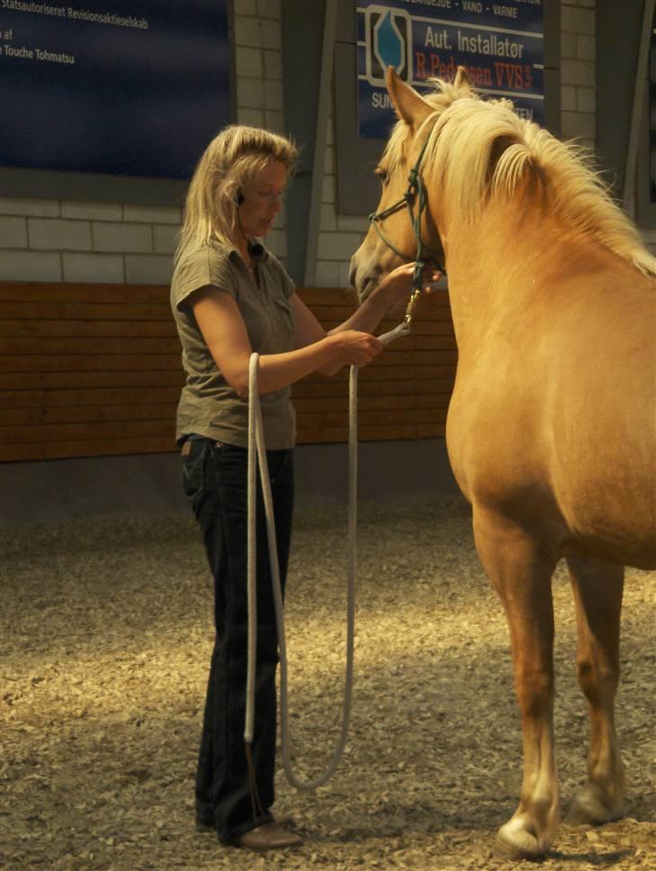 Haflinger Calina - Calina og jeg var i weekenden til et kursus i horsemanship med Ute Lehmann   billede 12
