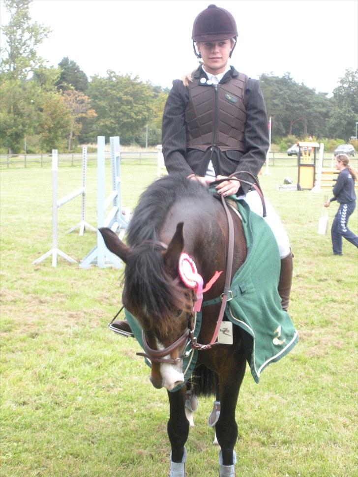 New Forest Margo  - Vinder lb i drk! billede 7