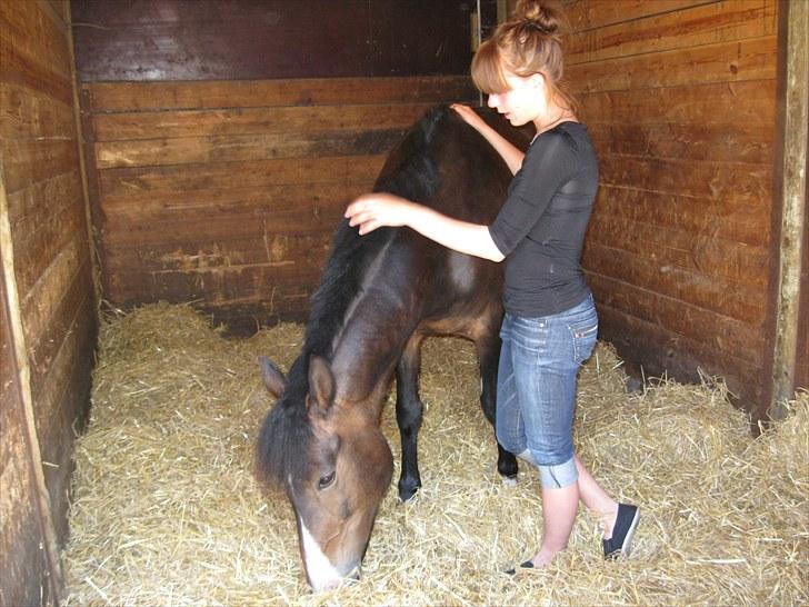 New Forest Margo  - sidste billede af mig og dju inden hun blev camillas :´( Fotograf: far billede 11
