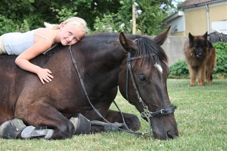 Oldenborg | Svalegaardens Indy - Thea og Indy <3 billede 13