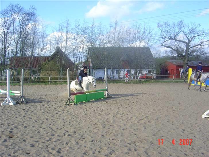 Connemara pilgaard`s silver stone  - Silver stopper på blinklyset, det er nok farligt billede 5