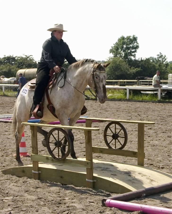 Appaloosa Skipas Primadonna - Stævne AWR 5 august 2007 billede 8