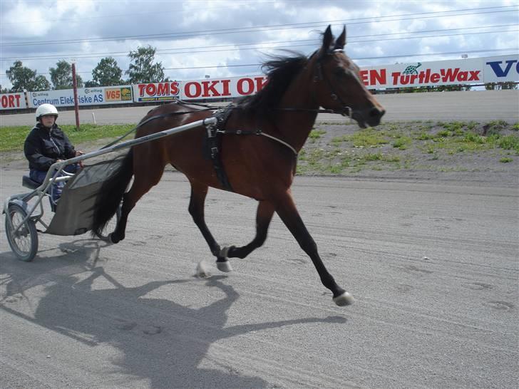 Traver Non Stop M. - mig og non stop ude at trene billede 1