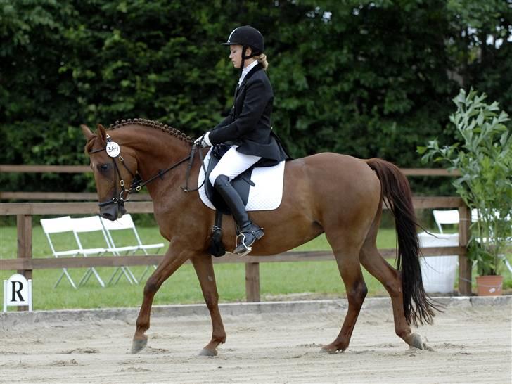 Anden særlig race Tamara  - Tamara og jeg. Hestival 2007 i Solrød. Foto: Animal-print.dk. billede 13