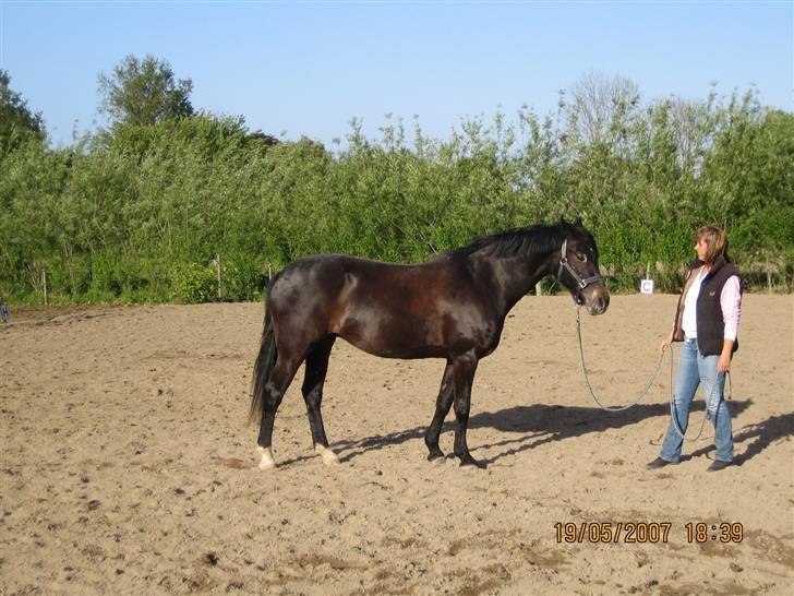 Oldenborg Nicolé billede 1