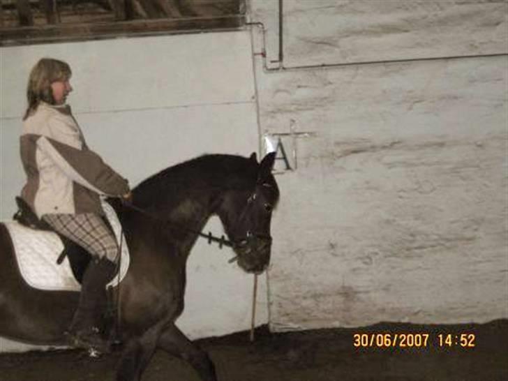 Oldenborg Nicolé billede 3