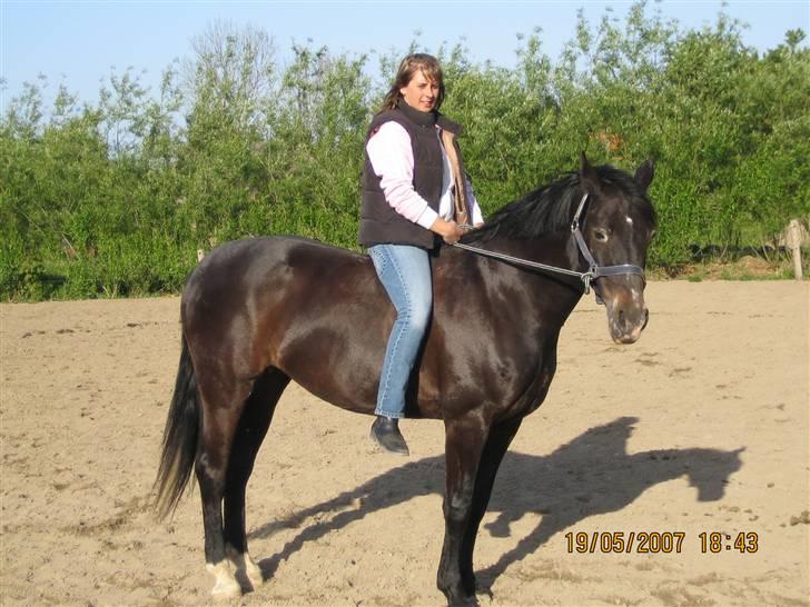 Oldenborg Nicolé billede 4