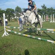 Anden særlig race Beauty De'light