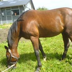 Traver Breaking the law R.I.P