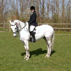 DSP Aaby's Kimba - R.I.P :'(