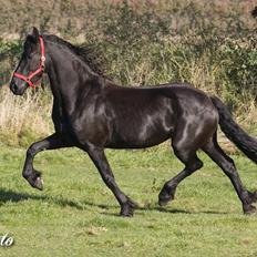 Frieser R.I.P. Mayke van de Berken Heove