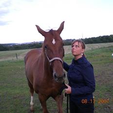 Anden særlig race Hoelgaards Benika - SOLGT