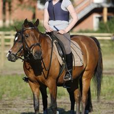 Anden særlig race Skipper † 15-11-07† 2 år