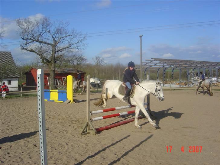 Connemara pilgaard`s silver stone  - vi er lige kommet over springet billede 6