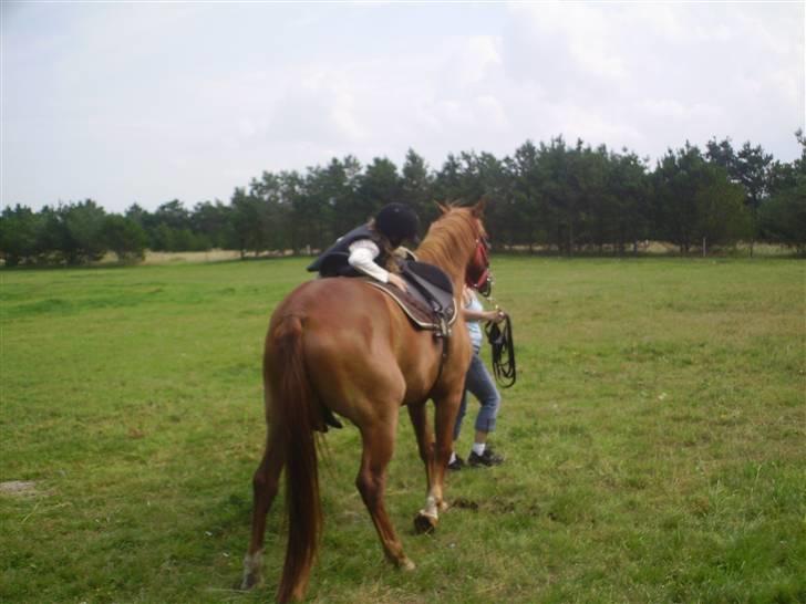 Anden særlig race PlayBoy <3 billede 8