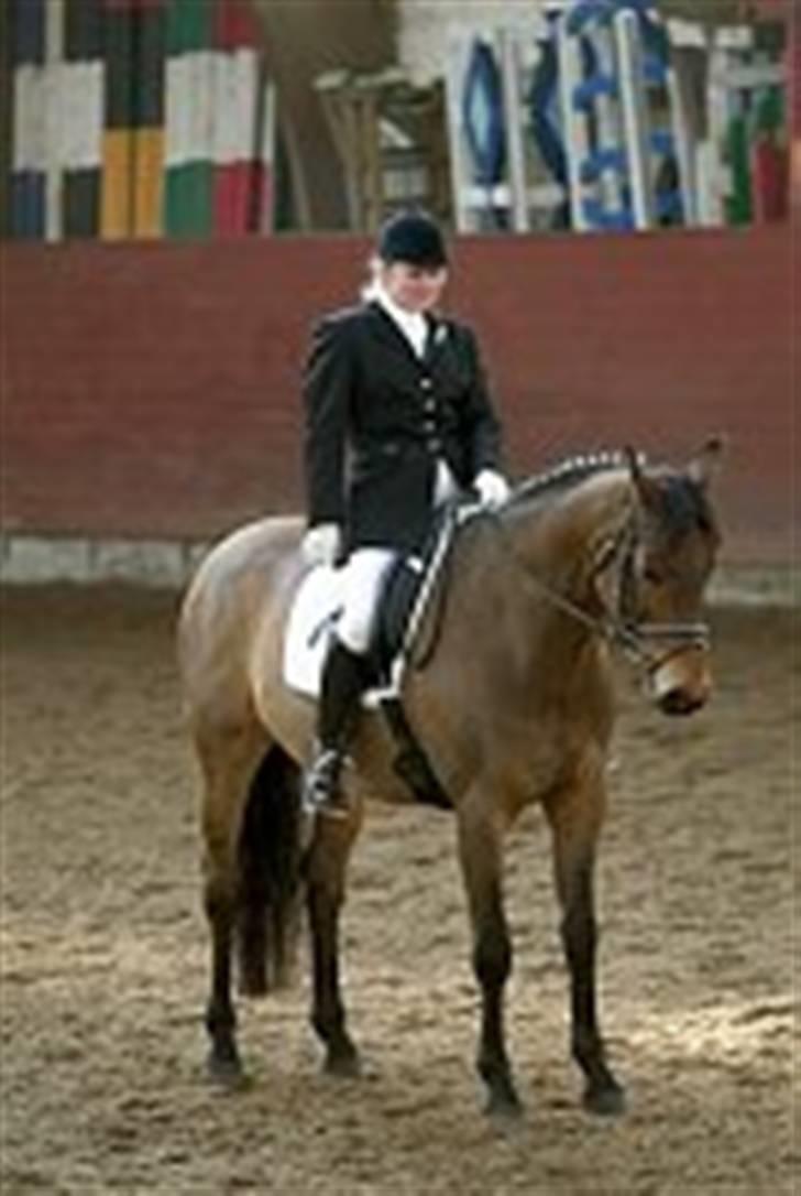 Dansk Varmblod Fantasi R.I.P - rimelige gamle billeder sammen med ejeren til stævne:´) billede 14