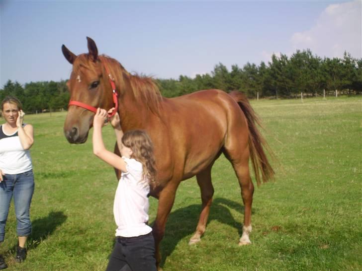 Anden særlig race PlayBoy <3 billede 12