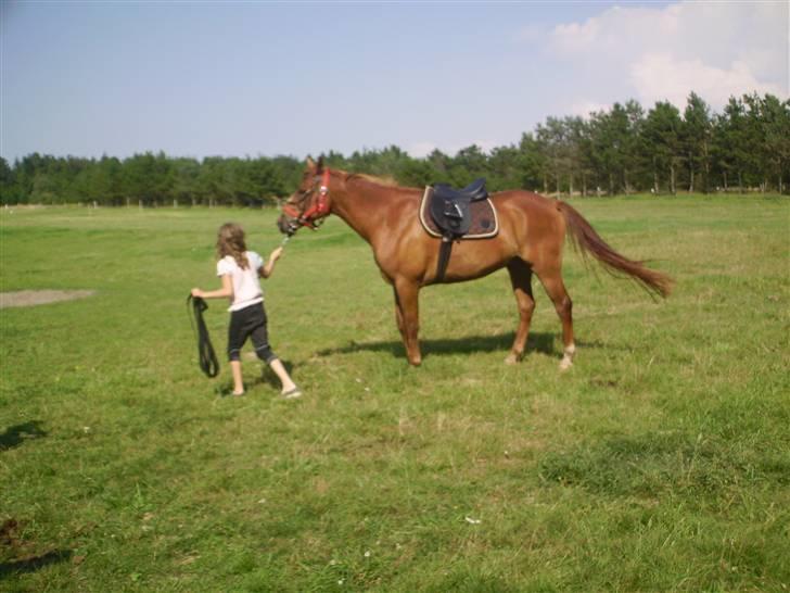 Anden særlig race PlayBoy <3 billede 13