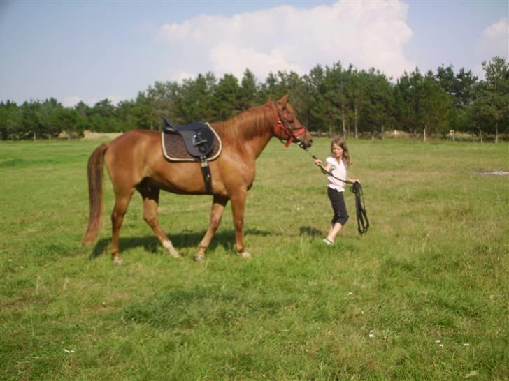 Anden særlig race PlayBoy <3 billede 14