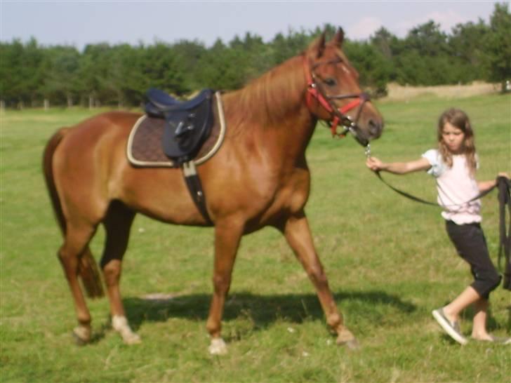 Anden særlig race PlayBoy <3 billede 15