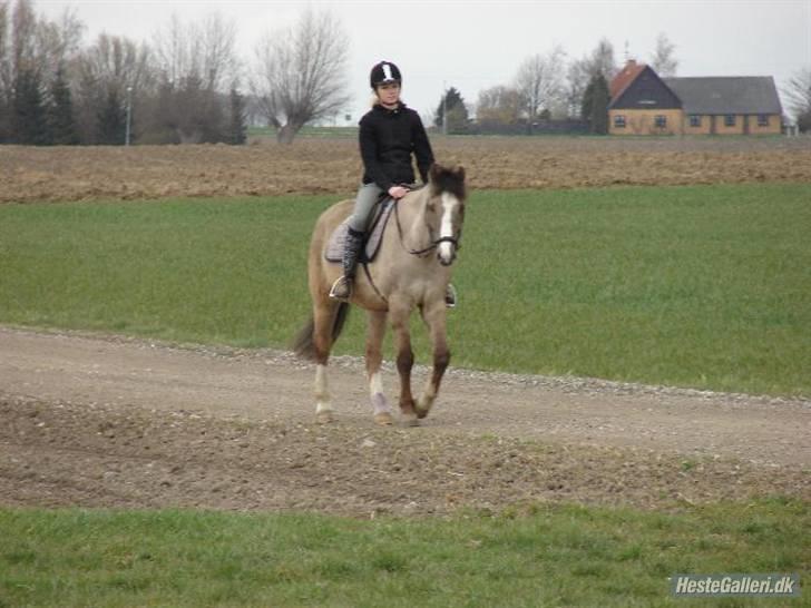 DSP Fenris - mere fri trav billede 17