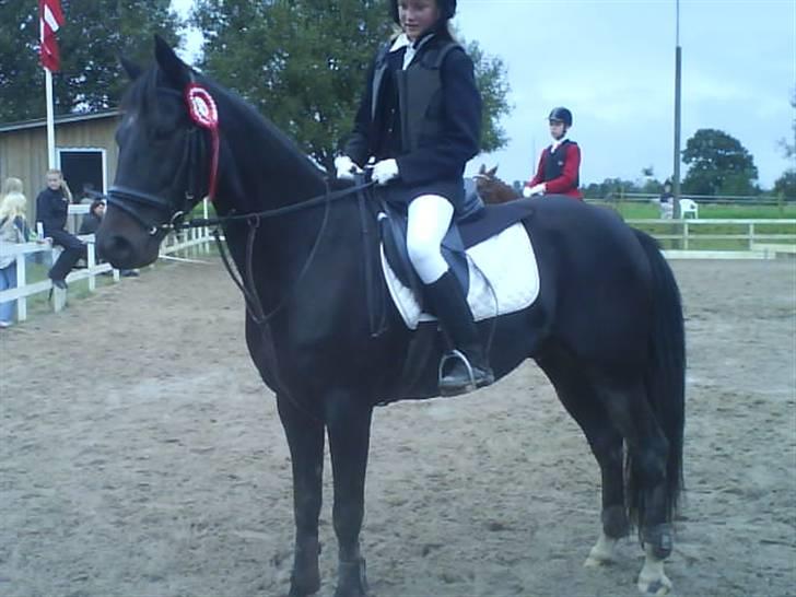 Traver Prins Hans(gammel Passer) - jaa. vandt en 1.plads<3 billede 17