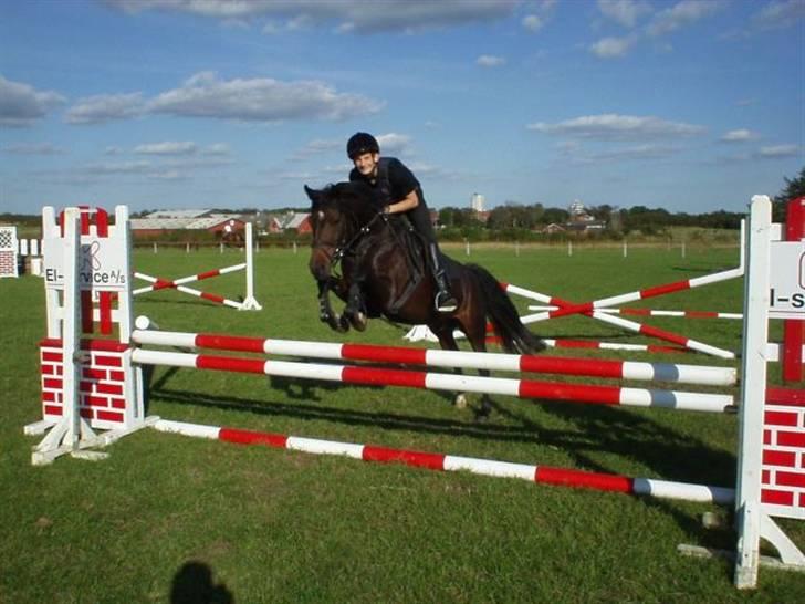 Anden særlig race Ringo (solgt  og efterlys billede 2