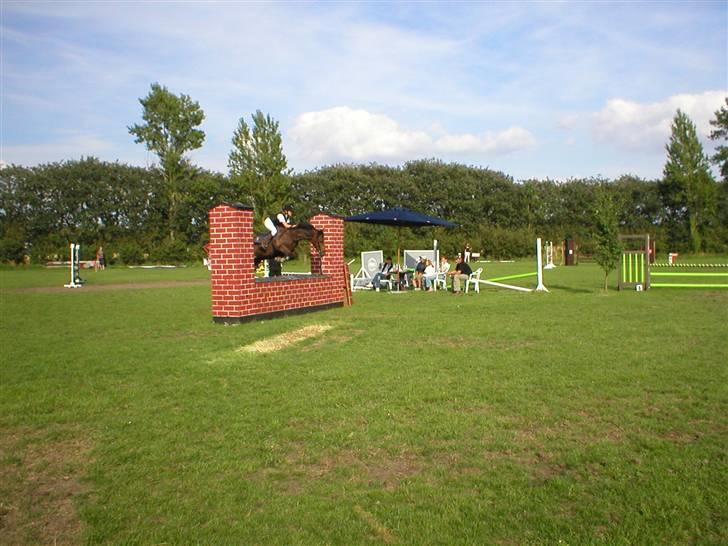 Welsh Cob (sec D) Nando<3(Gumle) [Solgt] (: - stævne igen:-D billede 5