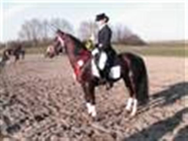 DSP cannon 103 sph - Beste in show billede 20