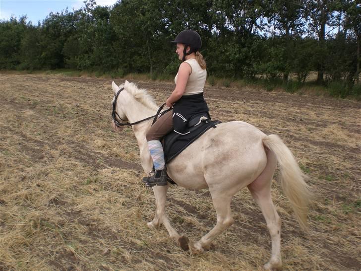 Anden særlig race Shadow *SOLGT* billede 17
